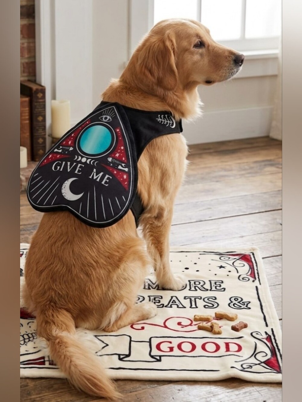 👻Bootique BNWT Gothic Ouija Board Dog Costume & Blanket Set - Medium👻